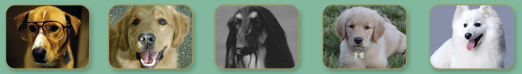 image header