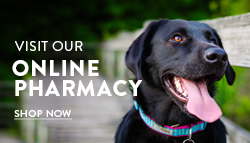 Online Pharmacy Banner